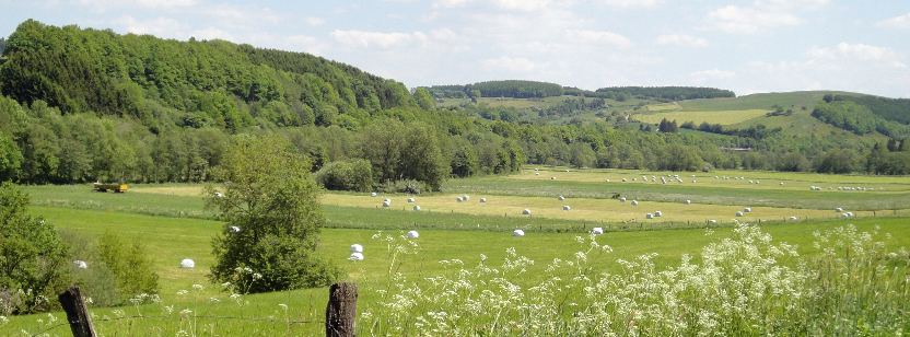 German countryside in early summer